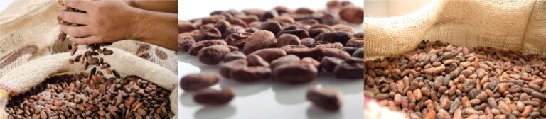 product beans